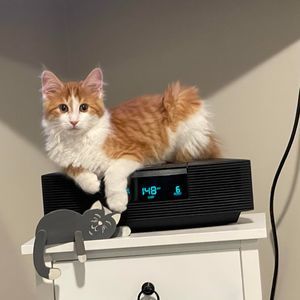 Meet your Posher, Susan